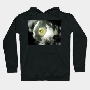 morning glory Hoodie